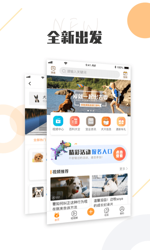 中国K9犬网在线版截屏1
